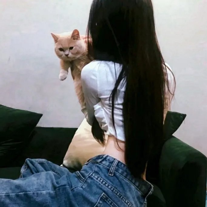 非洲孤狼